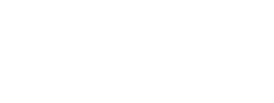 The Children's Music Network
